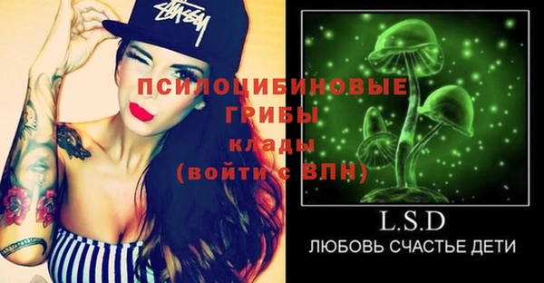 тгк Себеж