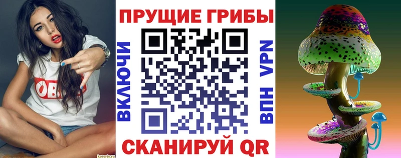 Галлюциногенные грибы мицелий  hydra   Майский 