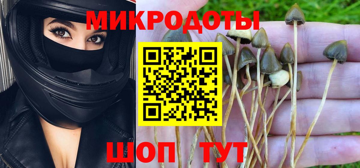 цены наркотик  Псилоцибиновые грибы мицелий  Майский  Галлюциногенные грибы ЛСД 