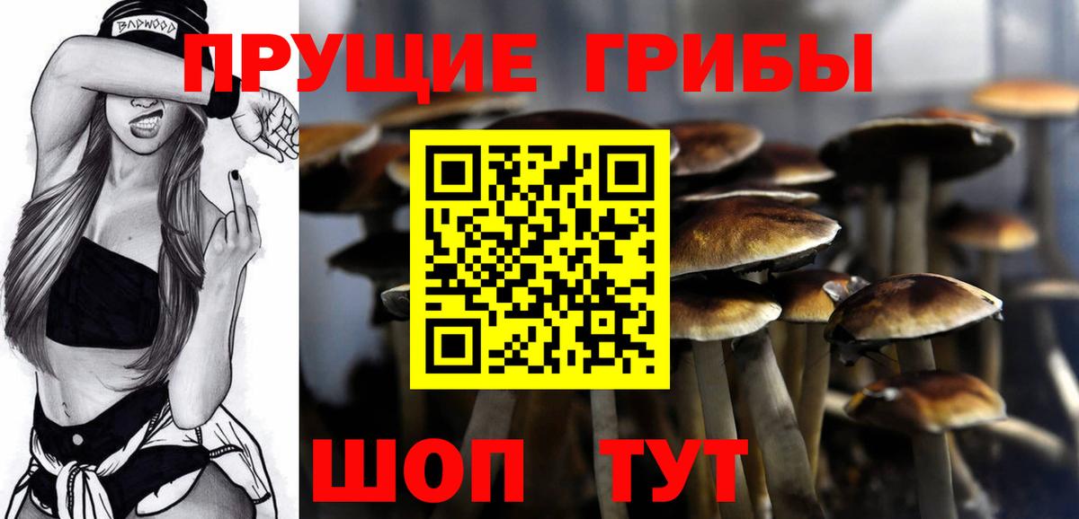 Псилоцибиновые грибы GOLDEN TEACHER  Вход с VPN  Галлюциногенные грибы MAGIC MUSHROOMS  Майский 